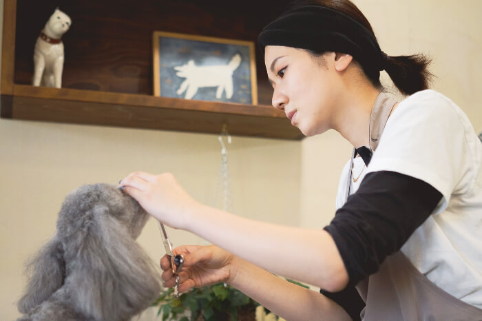 田坂なつみのプロフィール写真