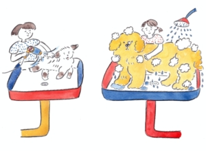 犬をシャンプーしているイラスト