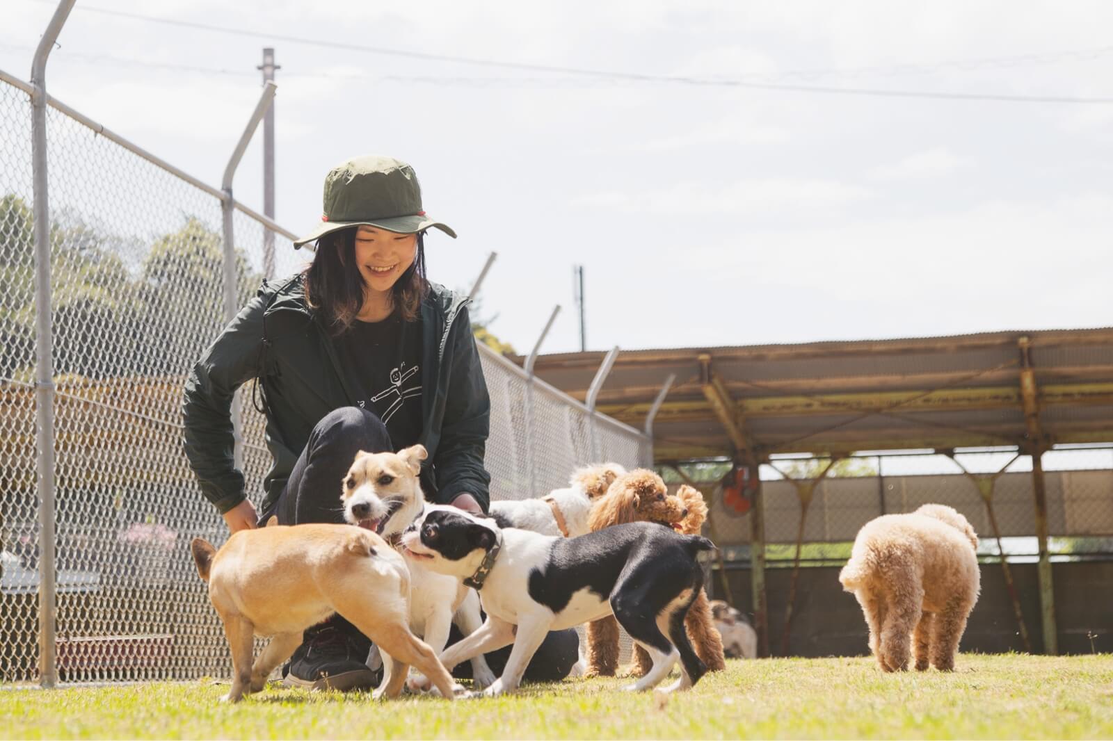 たくさんの犬と人