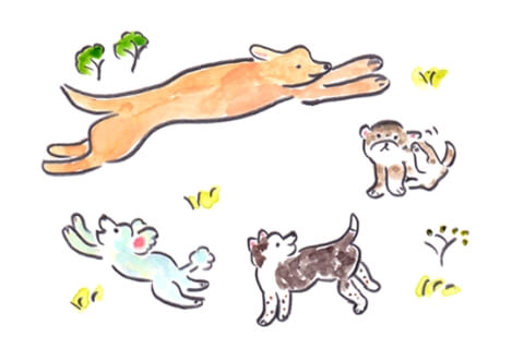 走り回る犬のイラスト